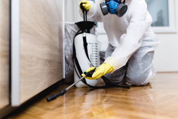 Best Flea Control Services  in Itasca, IL
