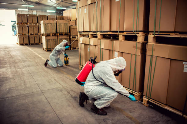 Best Pest Prevention Services  in Itasca, IL