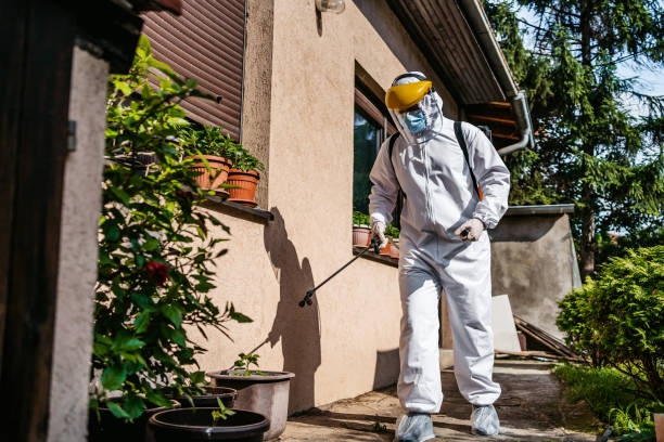 Best Exterminator Services  in Itasca, IL