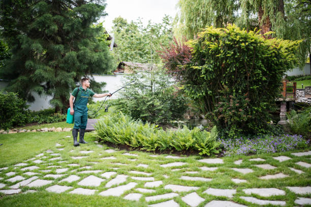 Professional Pest Control in Itasca, IL
