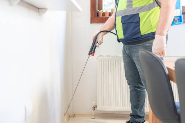 Best Affordable Pest Control Services  in Itasca, IL