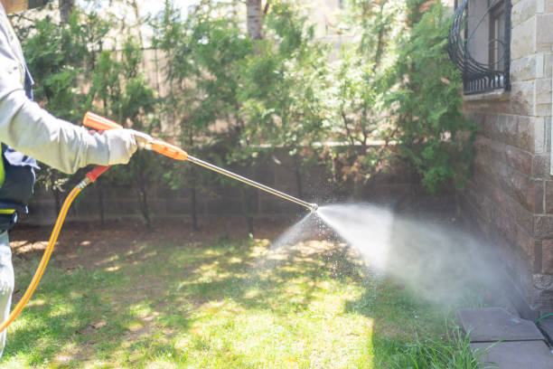 Best Termite Control Services  in Itasca, IL