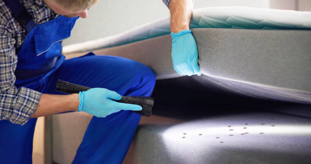  Itasca, IL Pest Control Pros