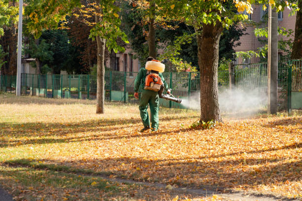 Best Mosquito Control Services  in Itasca, IL