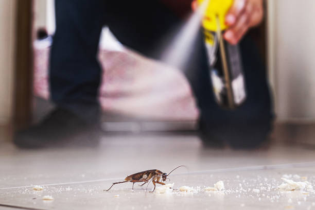Best Emergency Pest Control  in Itasca, IL