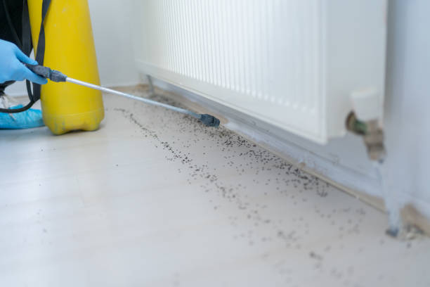 Best Residential Pest Control  in Itasca, IL