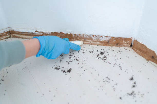 Best Pest Control Treatment  in Itasca, IL